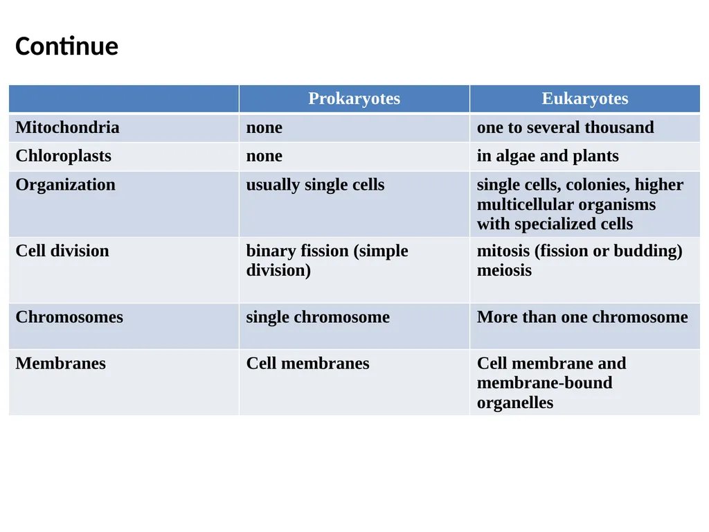 Prof . Dr. Younis A. Alkhafaji Lecture – 1 - - slide 6 of 10