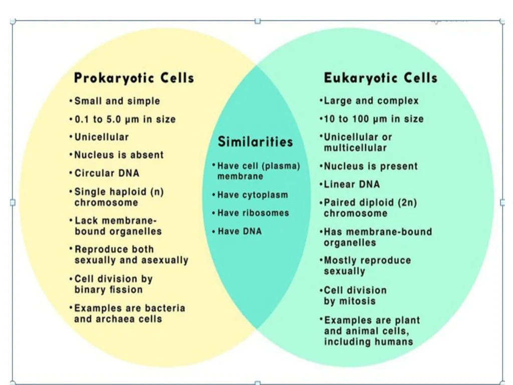 Prof . Dr. Younis A. Alkhafaji Lecture – 1 - - slide 7 of 10