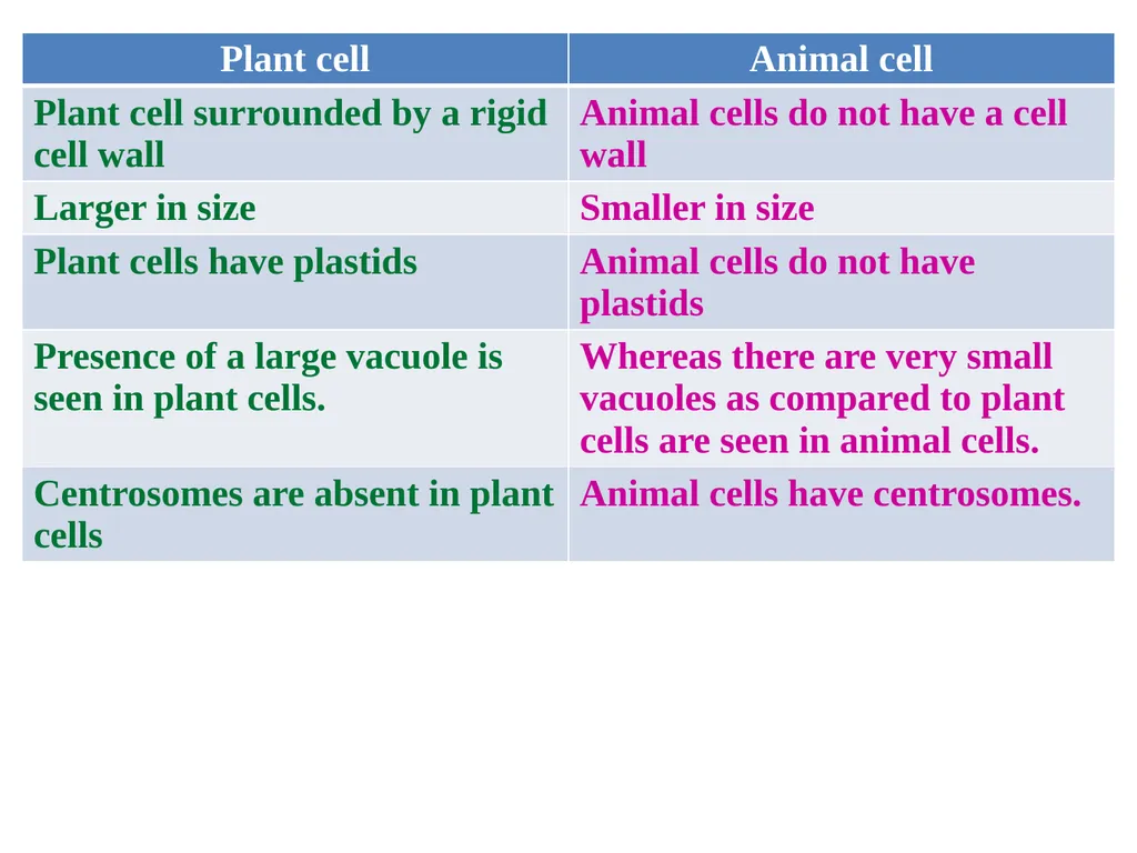 Prof . Dr. Younis A. Alkhafaji Lecture – 1 - - slide 9 of 10
