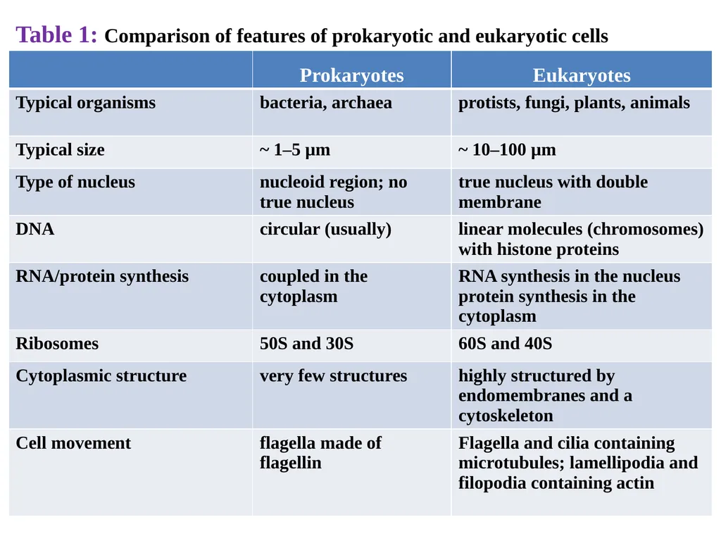 Prof . Dr. Younis A. Alkhafaji Lecture – 1 - - slide 5 of 10