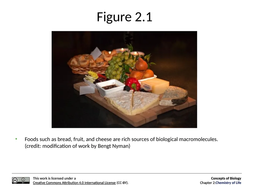 Concepts of Biology: Chemistry of Life Figure 2.1 - slide 2 of 63