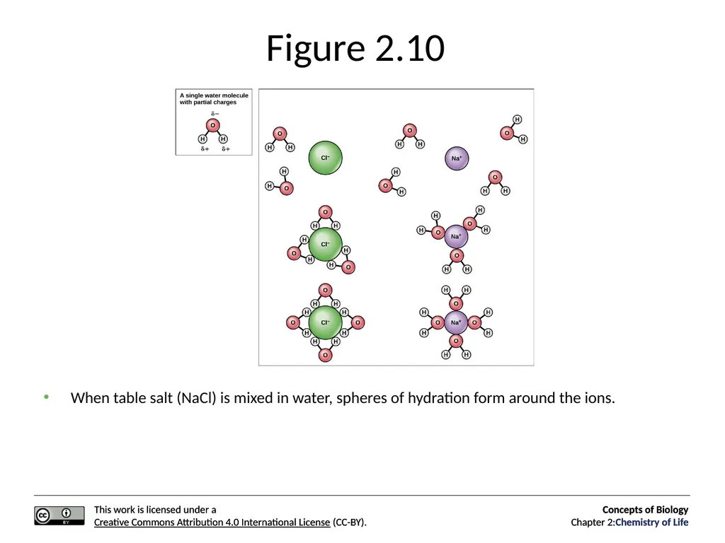Concepts of Biology: Chemistry of Life Figure 2.1 - slide 25 of 63