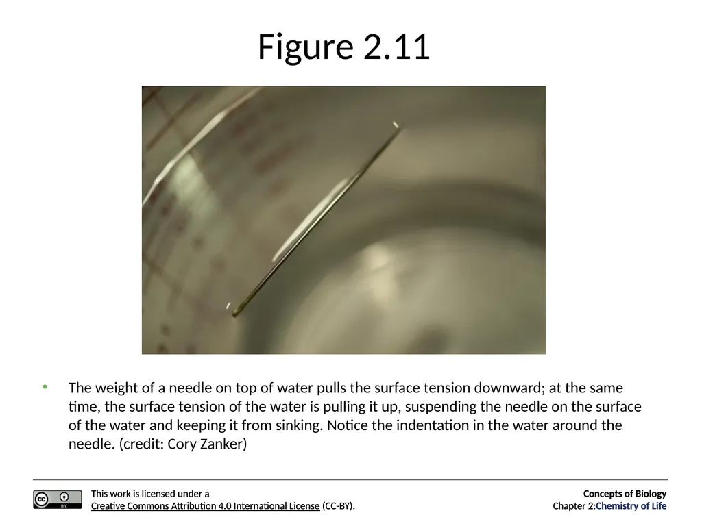 Concepts of Biology: Chemistry of Life Figure 2.1 - slide 28 of 63