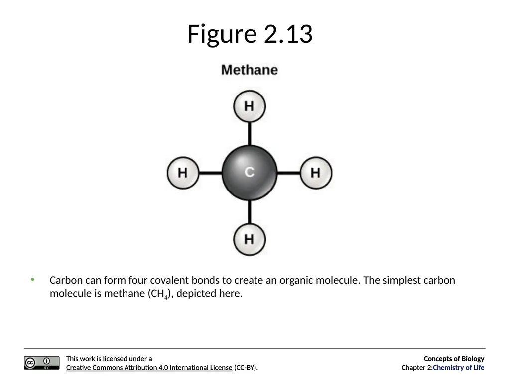 Concepts of Biology: Chemistry of Life Figure 2.1 - slide 32 of 63