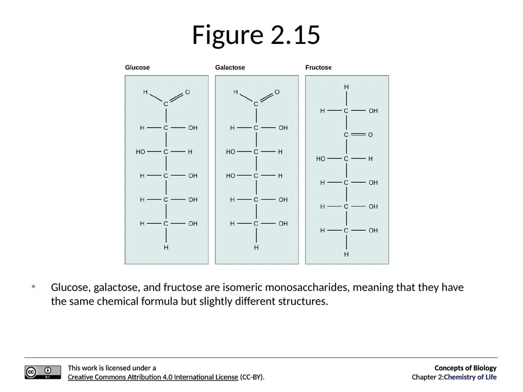 Concepts of Biology: Chemistry of Life Figure 2.1 - slide 37 of 63