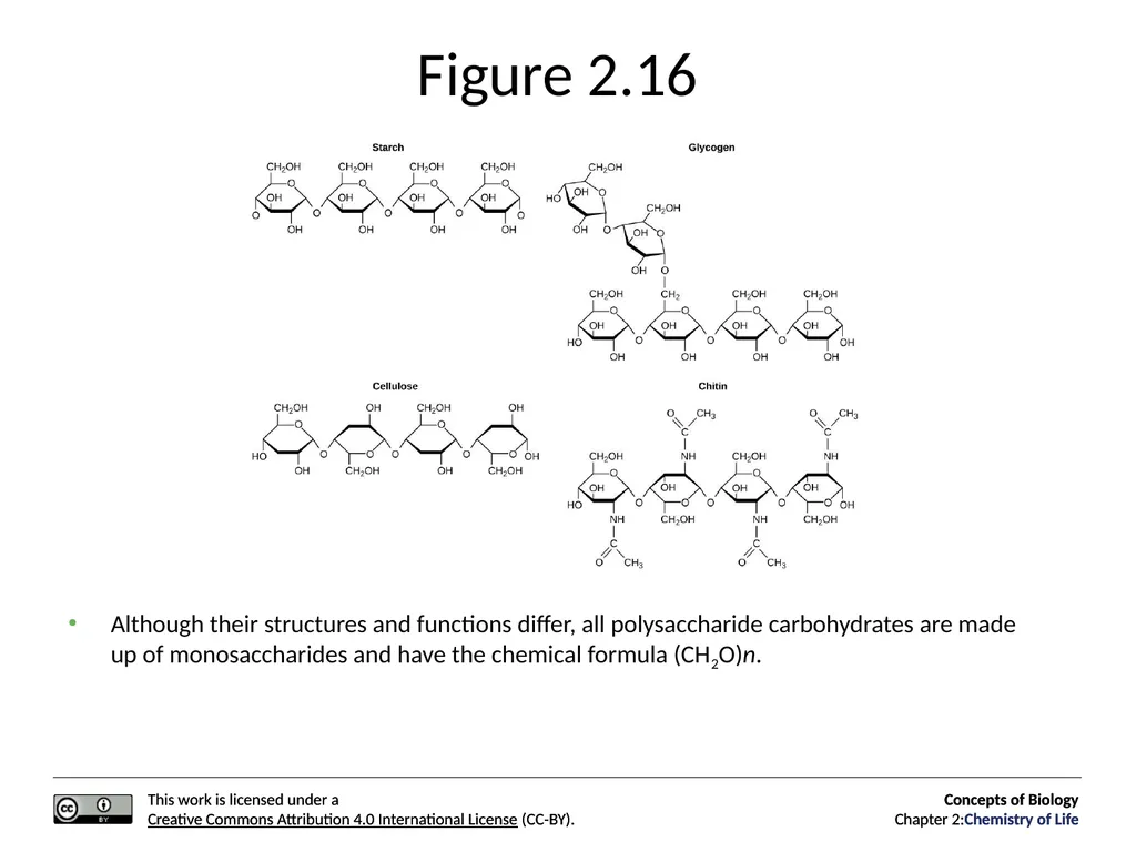 Concepts of Biology: Chemistry of Life Figure 2.1 - slide 40 of 63