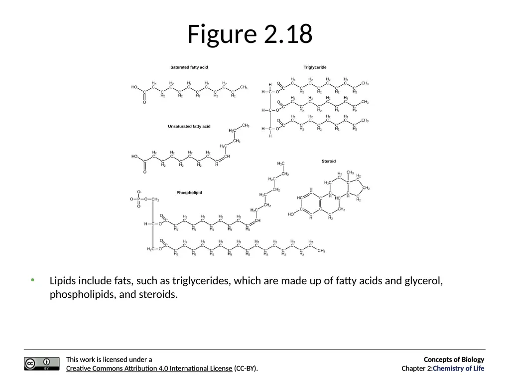 Concepts of Biology: Chemistry of Life Figure 2.1 - slide 44 of 63