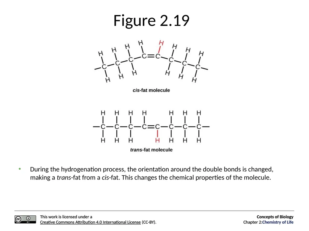 Concepts of Biology: Chemistry of Life Figure 2.1 - slide 48 of 63