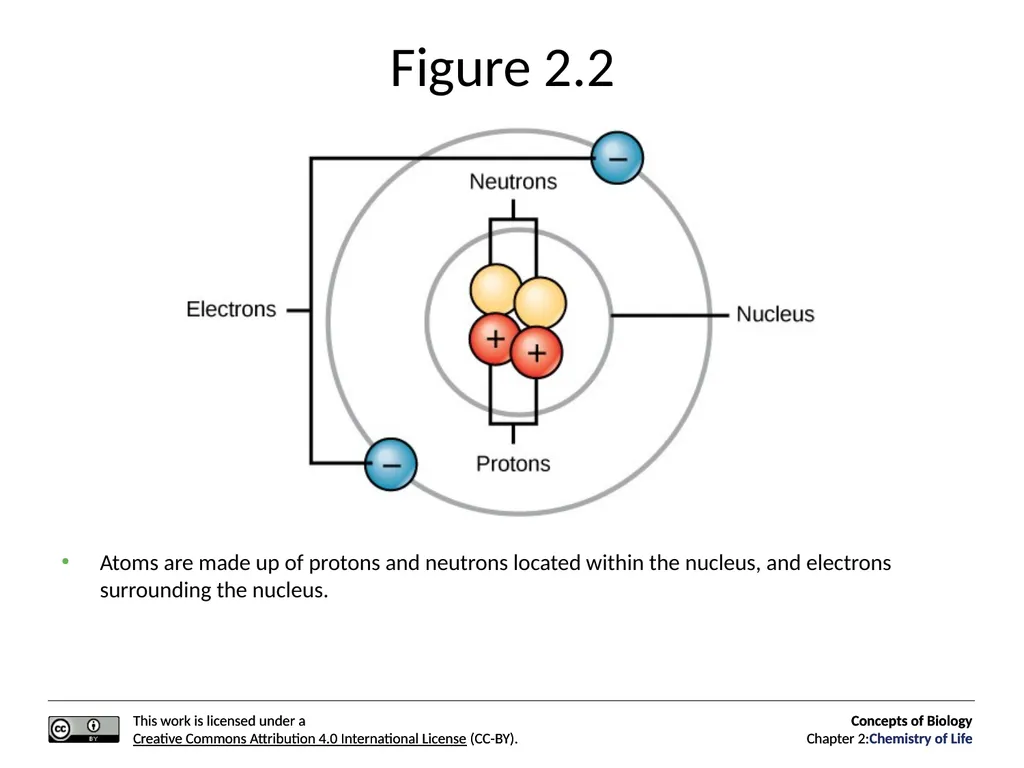 Concepts of Biology: Chemistry of Life Figure 2.1 - slide 4 of 63