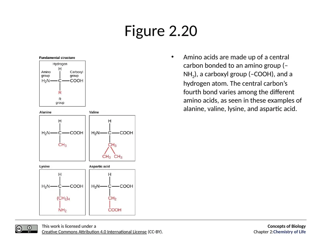 Concepts of Biology: Chemistry of Life Figure 2.1 - slide 53 of 63
