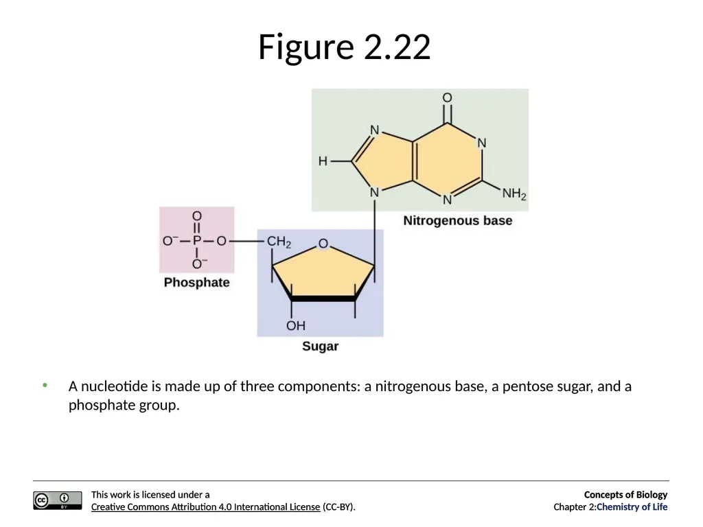 Concepts of Biology: Chemistry of Life Figure 2.1 - slide 61 of 63