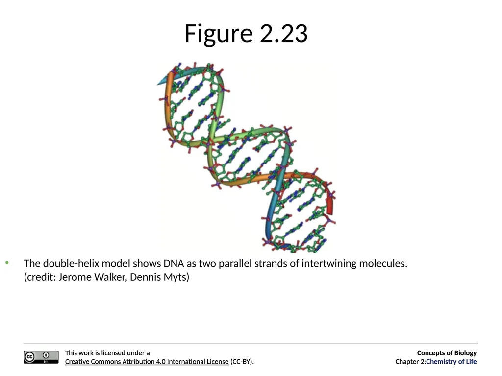 Concepts of Biology: Chemistry of Life Figure 2.1 - slide 62 of 63