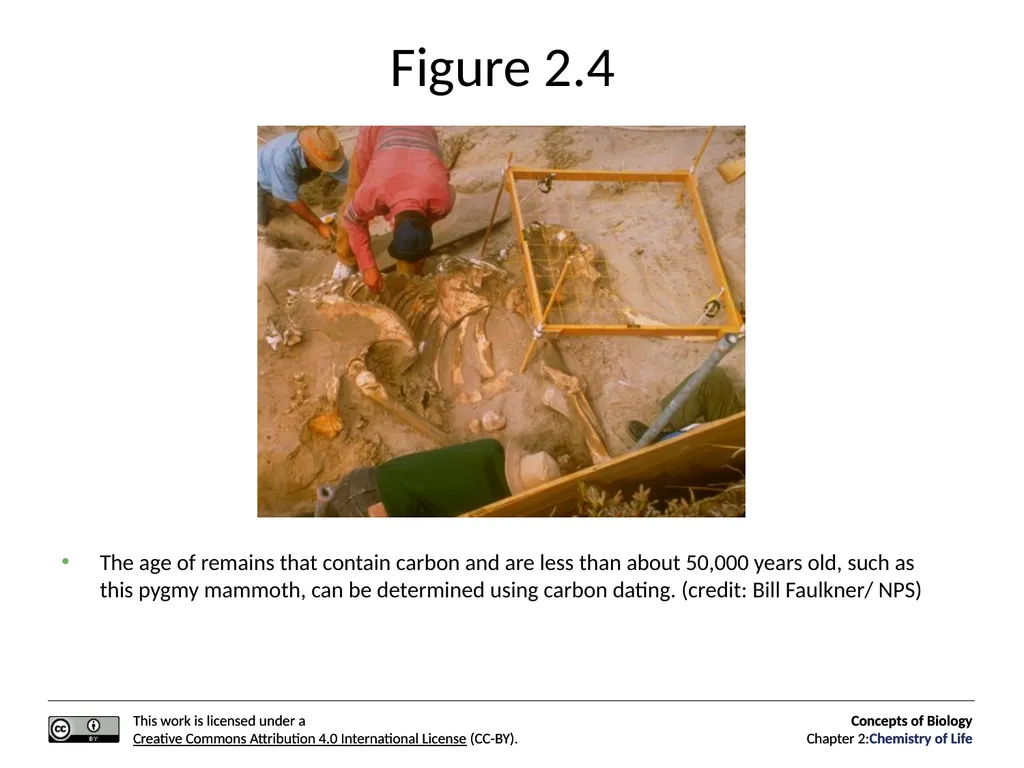 Concepts of Biology: Chemistry of Life Figure 2.1 - slide 9 of 63