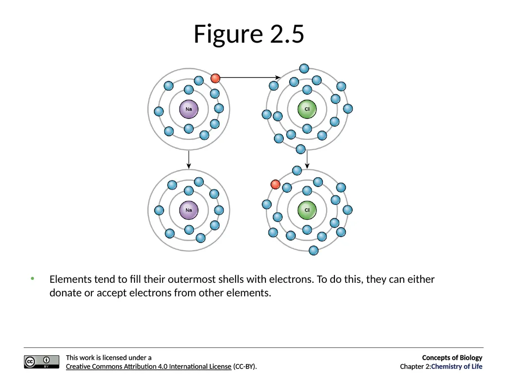 Concepts of Biology: Chemistry of Life Figure 2.1 - slide 13 of 63