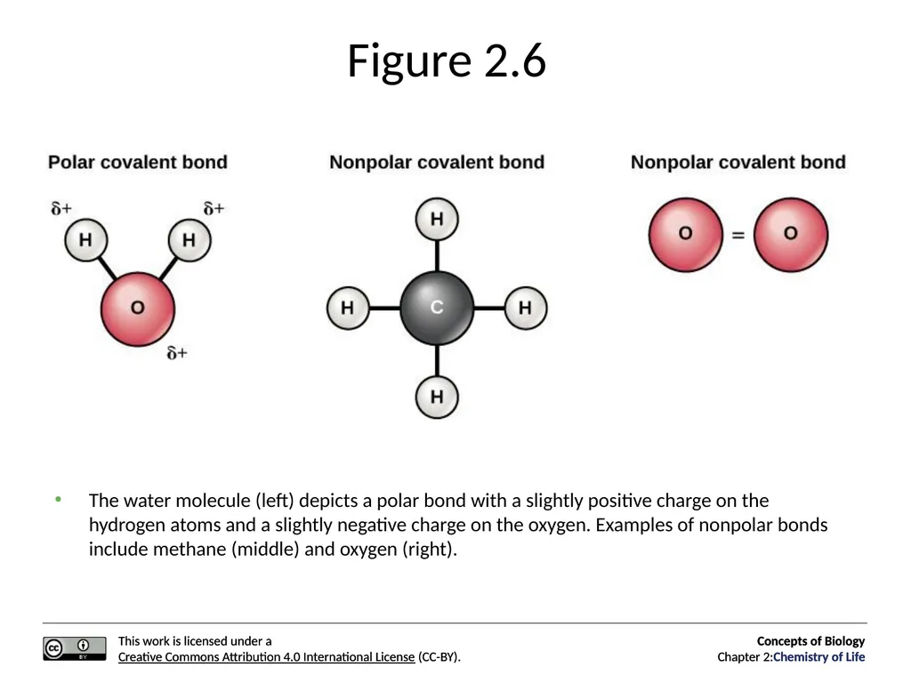 Concepts of Biology: Chemistry of Life Figure 2.1 - slide 16 of 63