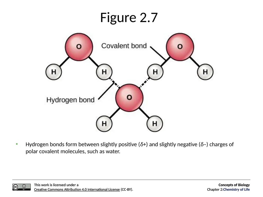 Concepts of Biology: Chemistry of Life Figure 2.1 - slide 18 of 63
