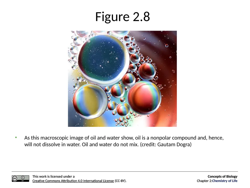 Concepts of Biology: Chemistry of Life Figure 2.1 - slide 21 of 63