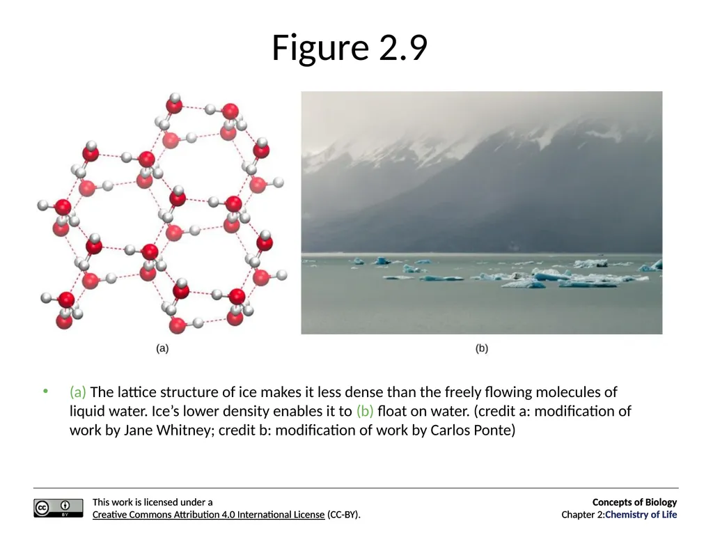 Concepts of Biology: Chemistry of Life Figure 2.1 - slide 22 of 63