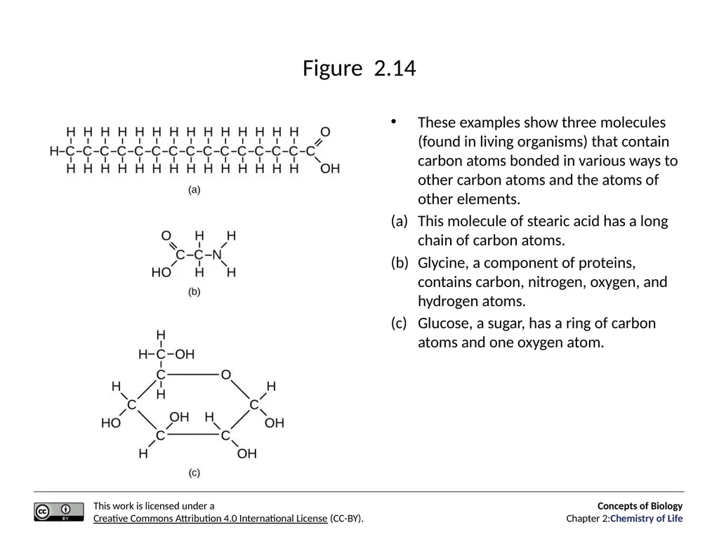 Concepts of Biology: Chemistry of Life Figure 2.1 - slide 35 of 63