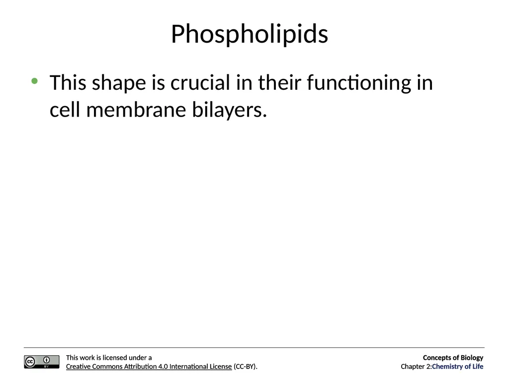 Concepts of Biology: Chemistry of Life Figure 2.1 - slide 47 of 63
