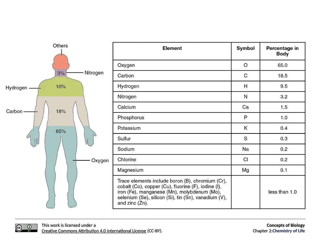 Concepts of Biology: Chemistry of Life Figure 2.1 - slide 6 of 63