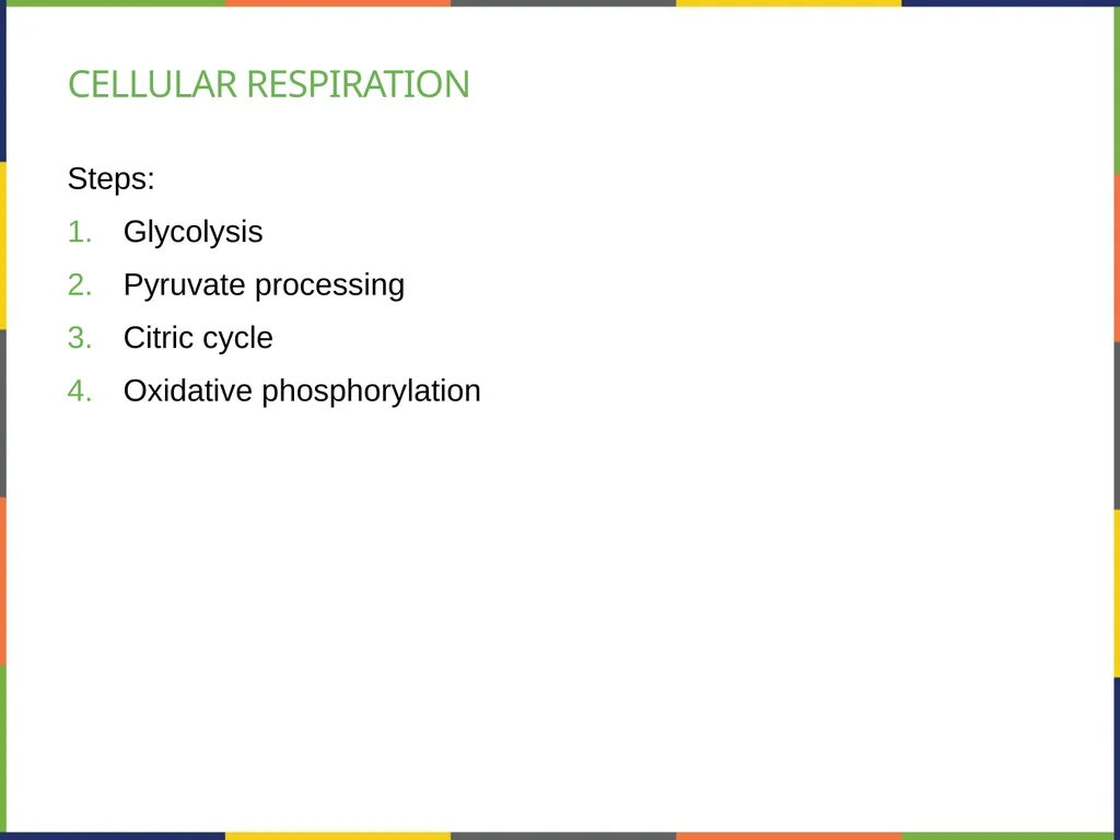 Chapter 4 HOW CELLS OBTAIN ENERGY PowerPoint Image - slide 25 of 39