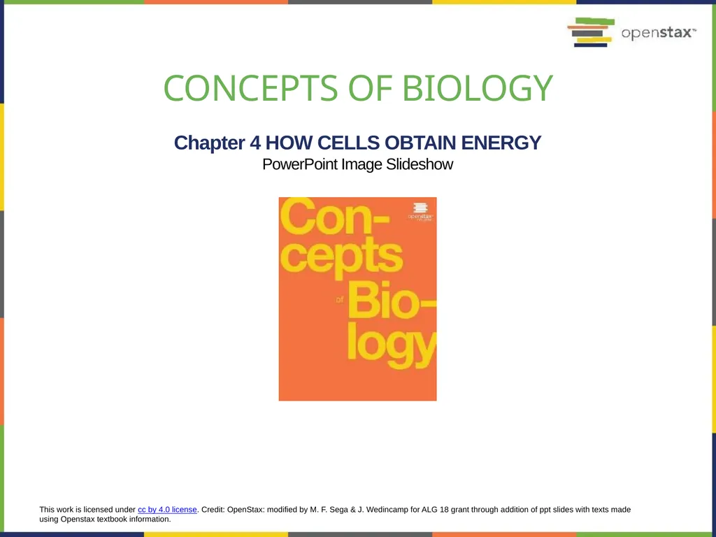 Chapter 4 HOW CELLS OBTAIN ENERGY PowerPoint Image - slide 1 of 39