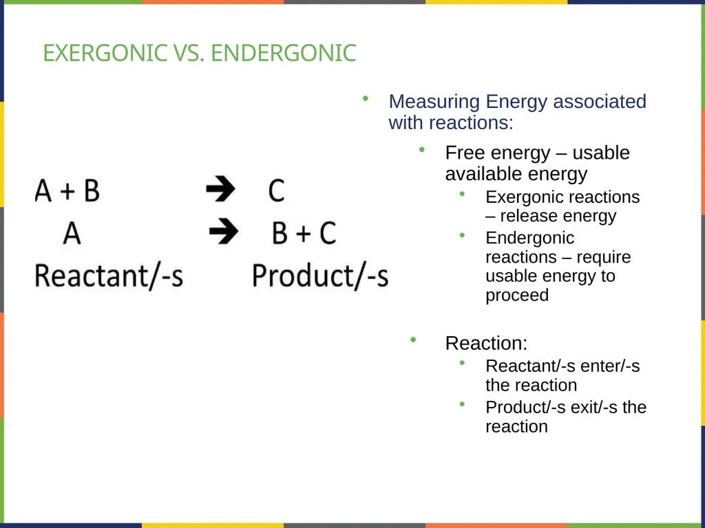 Chapter 4 HOW CELLS OBTAIN ENERGY PowerPoint Image - slide 12 of 39