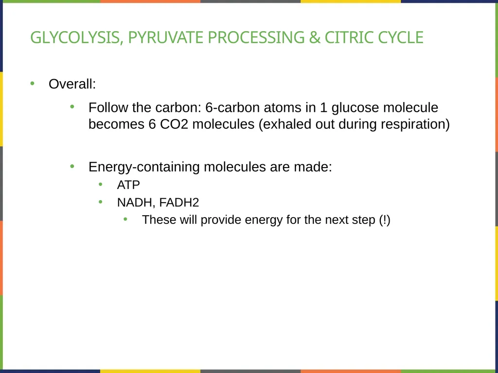 Chapter 4 HOW CELLS OBTAIN ENERGY PowerPoint Image - slide 29 of 39