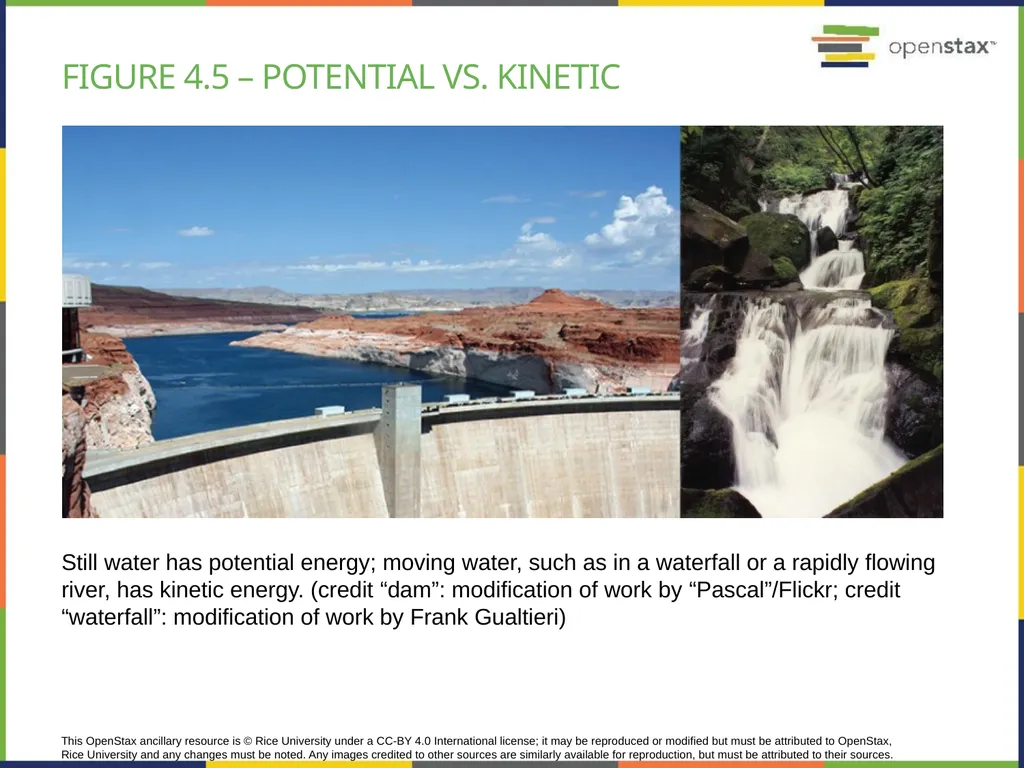 Chapter 4 HOW CELLS OBTAIN ENERGY PowerPoint Image - slide 11 of 39