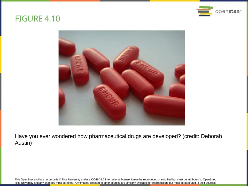 Chapter 4 HOW CELLS OBTAIN ENERGY PowerPoint Image - slide 19 of 39