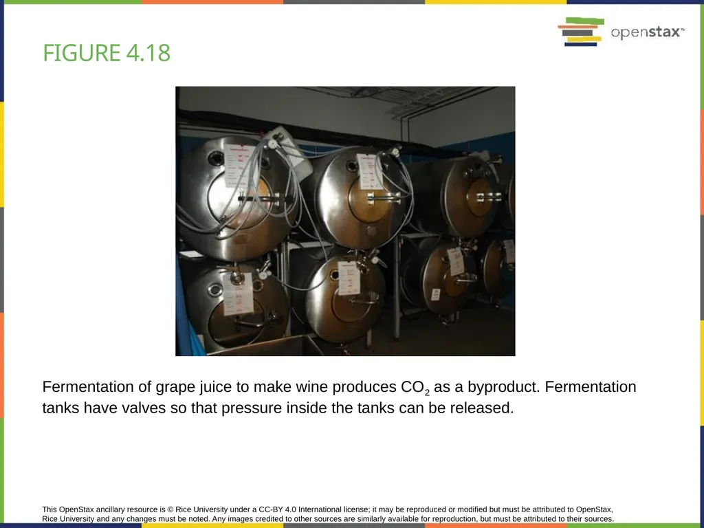 Chapter 4 HOW CELLS OBTAIN ENERGY PowerPoint Image - slide 35 of 39