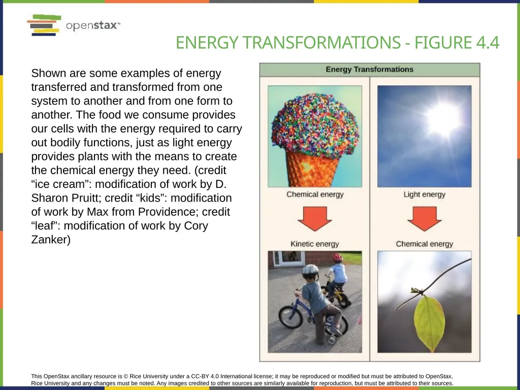 Chapter 4 HOW CELLS OBTAIN ENERGY PowerPoint Image - slide 9 of 39