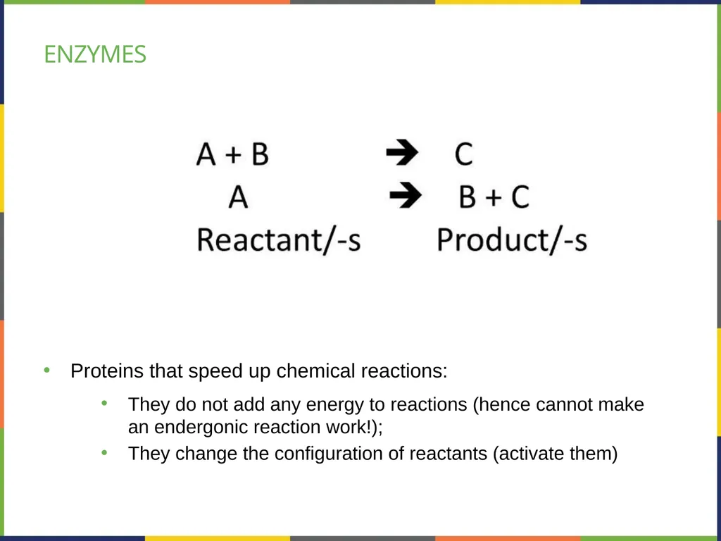 Chapter 4 HOW CELLS OBTAIN ENERGY PowerPoint Image - slide 14 of 39