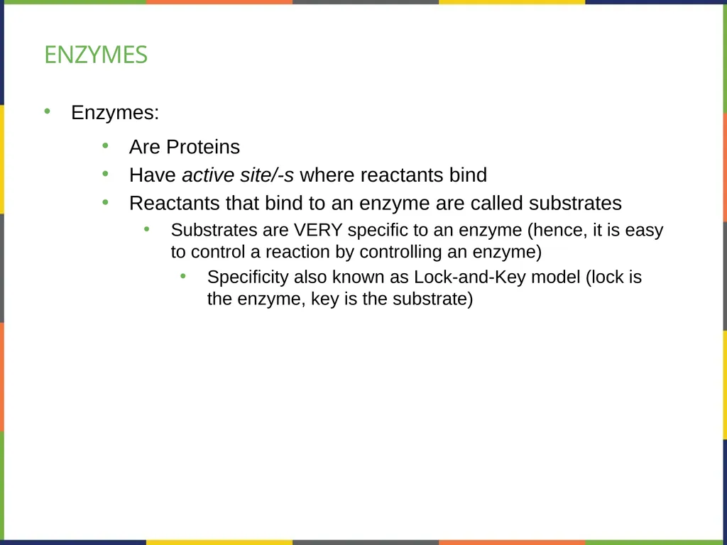 Chapter 4 HOW CELLS OBTAIN ENERGY PowerPoint Image - slide 16 of 39