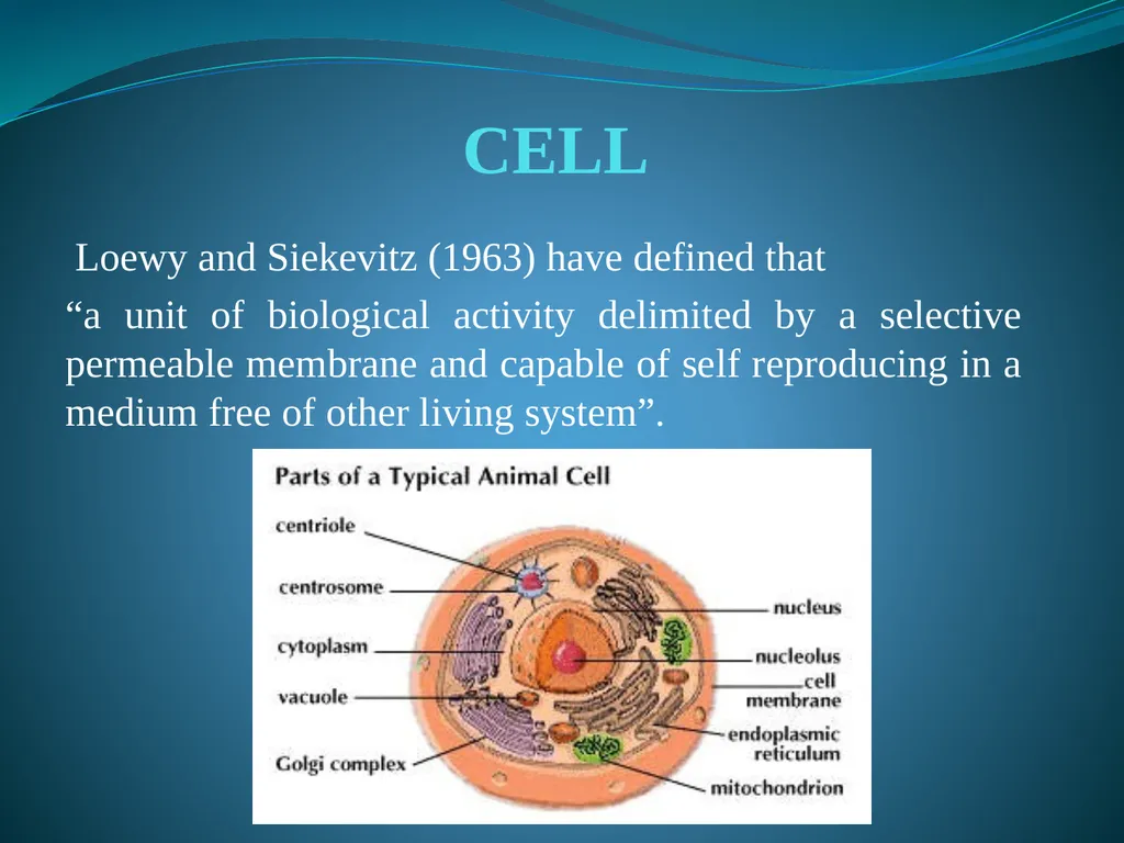 Cell Biology Cytology or Cell Biology The cytology - slide 3 of 13