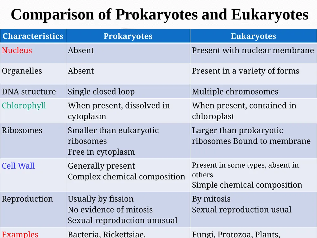 Cell Biology Cytology or Cell Biology The cytology - slide 4 of 13