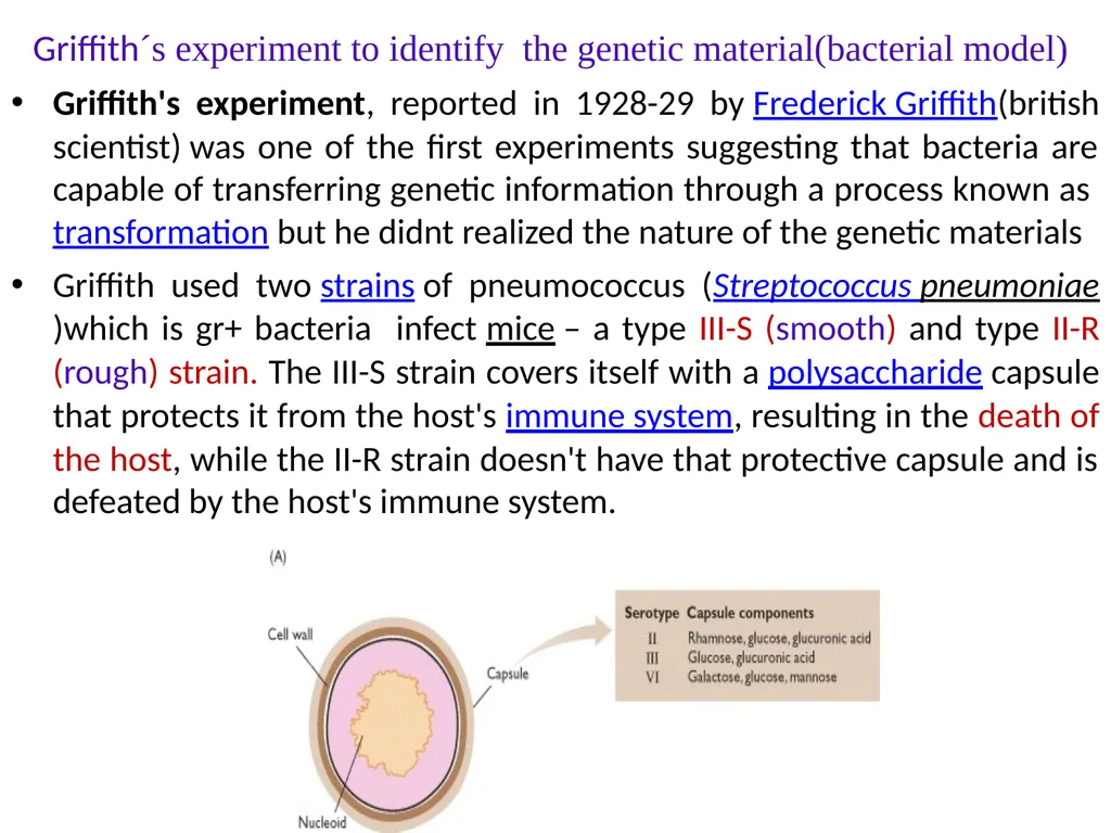 Molecular biology first and second lectures - slide 3 of 19