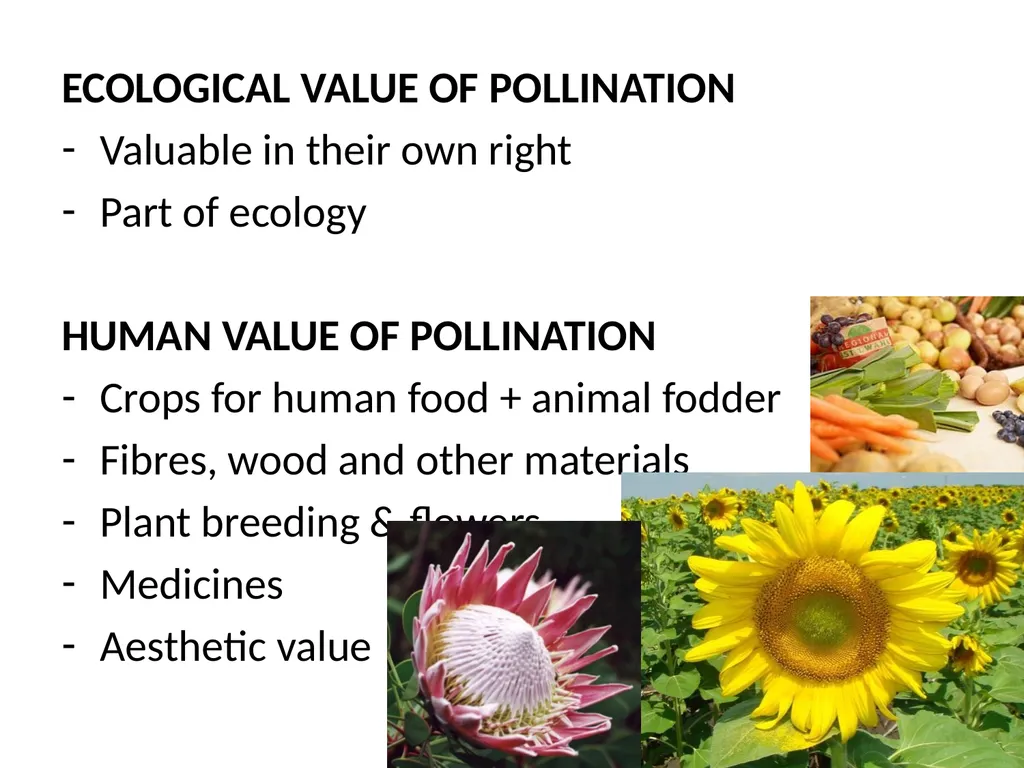 Pollination biology (draft slides for educators to - slide 8 of 18