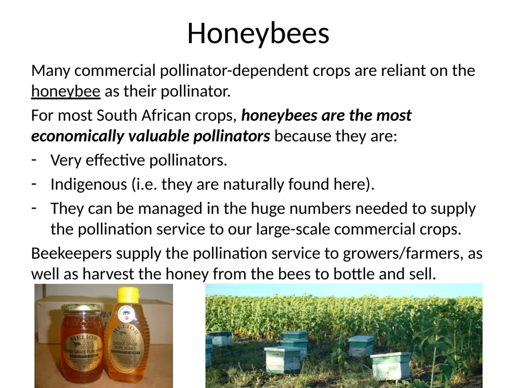 Pollination biology (draft slides for educators to - slide 10 of 18