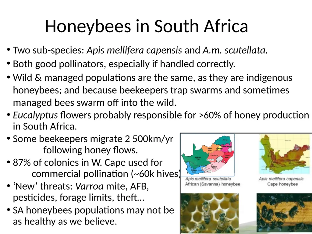 Pollination biology (draft slides for educators to - slide 11 of 18