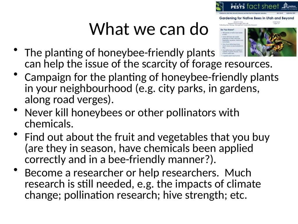 Pollination biology (draft slides for educators to - slide 18 of 18