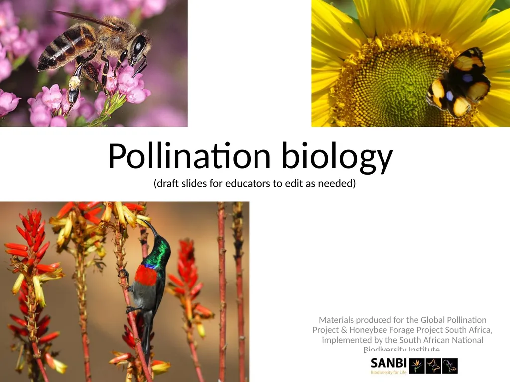 Pollination biology (draft slides for educators to