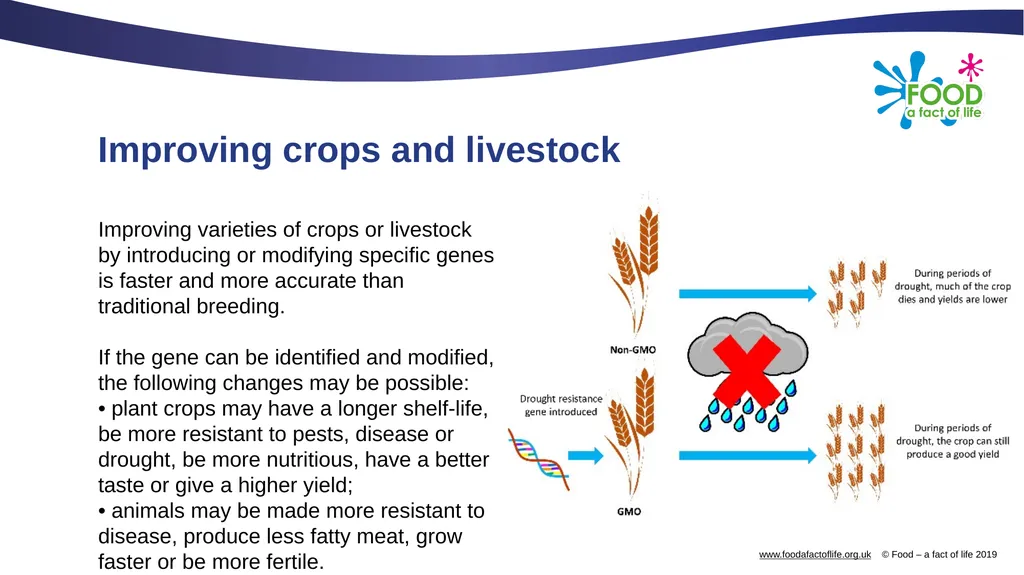 Biotechnology and nanotechnology What is - slide 11 of 21