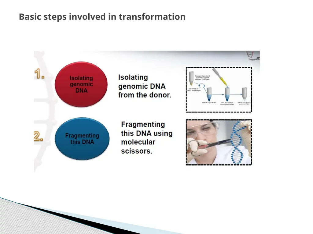 Biotechnology INTRODUCTION AND ITS SCOPE BY Azhar - slide 10 of 17