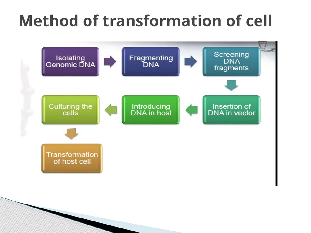 Biotechnology INTRODUCTION AND ITS SCOPE BY Azhar - slide 9 of 17