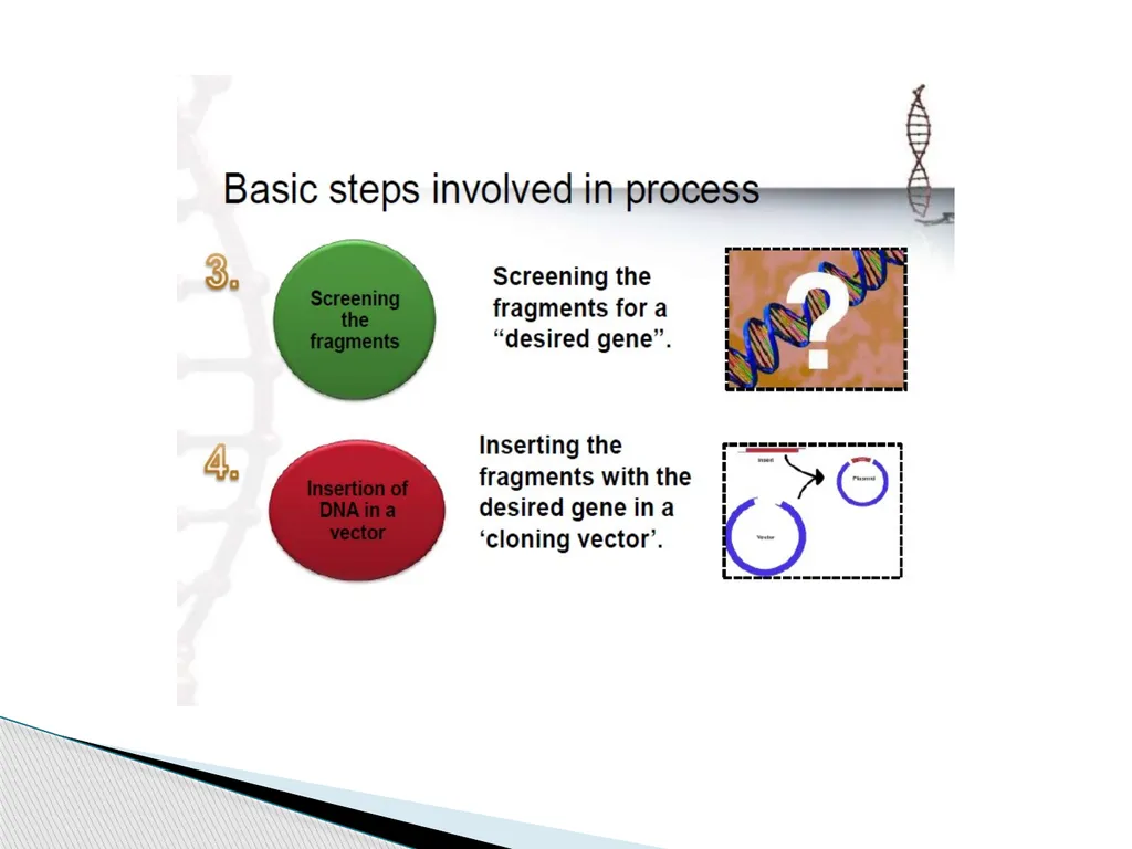 Biotechnology INTRODUCTION AND ITS SCOPE BY Azhar - slide 11 of 17