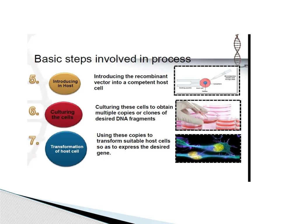 Biotechnology INTRODUCTION AND ITS SCOPE BY Azhar - slide 12 of 17