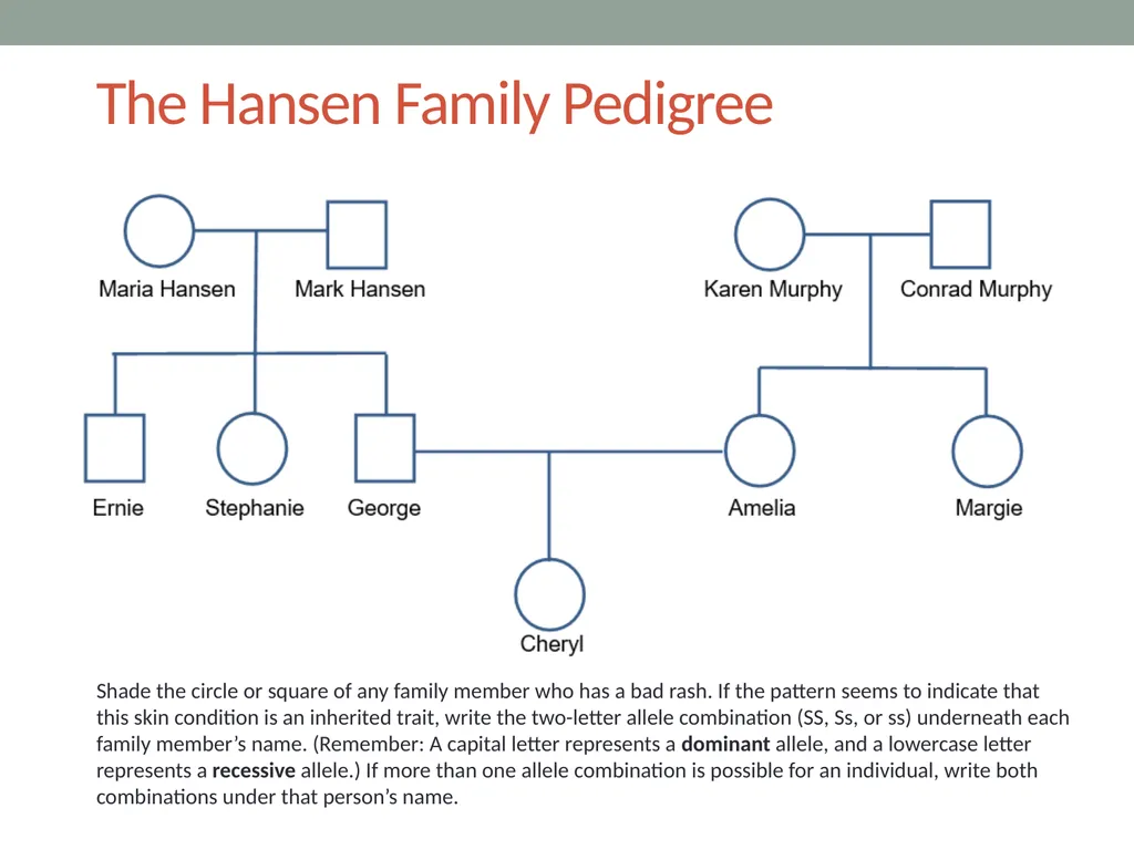 GENETICS Lesson 6b How Can Ideas about Trait - slide 7 of 13