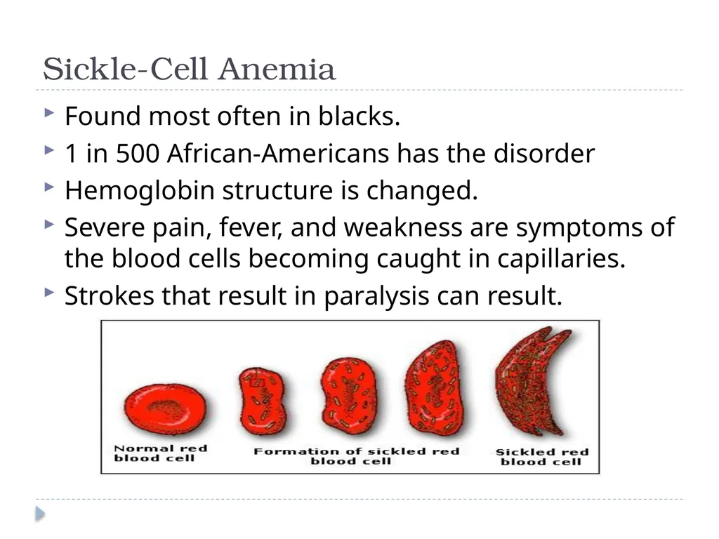 Biology Chapter 11 Human Genetics Human Genetic - slide 5 of 10